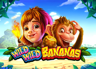 Situs Slot dana333